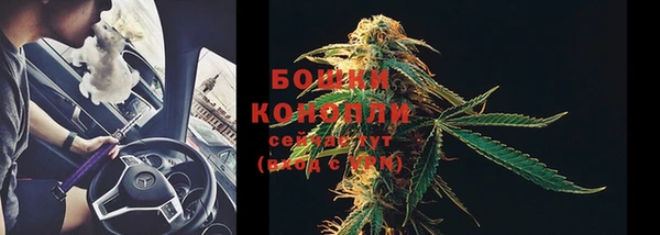 прущая мука Каменка