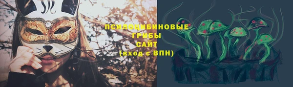 ПСИЛОЦИБИНОВЫЕ ГРИБЫ Аркадак