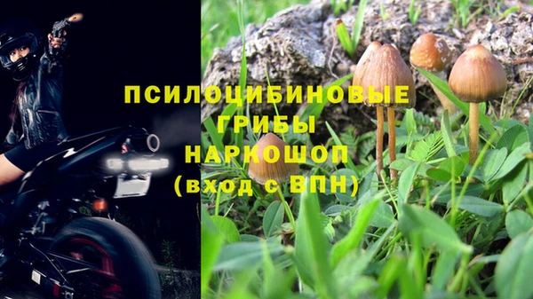 ПСИЛОЦИБИНОВЫЕ ГРИБЫ Аркадак
