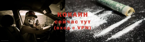 ПСИЛОЦИБИНОВЫЕ ГРИБЫ Аркадак