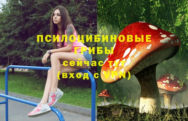 ПСИЛОЦИБИНОВЫЕ ГРИБЫ Аркадак