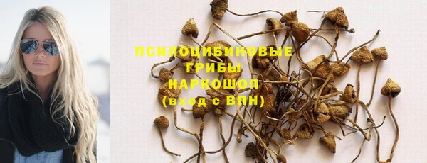 прущие грибы Лагань
