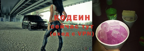 шишки Ладушкин