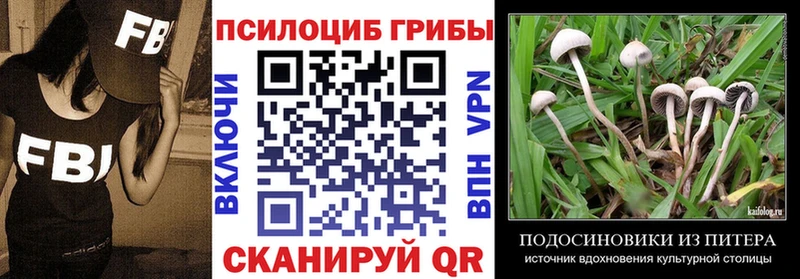 MEGA   Соль-Илецк  Галлюциногенные грибы ЛСД 