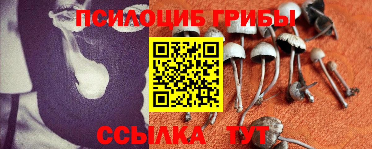 Галлюциногенные грибы ЛСД  Псилоцибиновые грибы Magic Shrooms  Соль-Илецк  Вход с VPN 