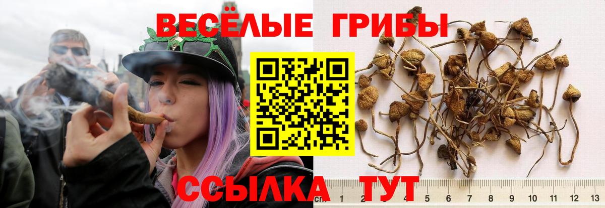 APVP Соль-Илецк